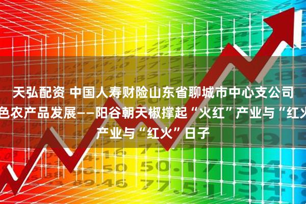 天弘配资 中国人寿财险山东省聊城市中心支公司护航特色农产品发展——阳谷朝天椒撑起“火红”产业与“红火”日子