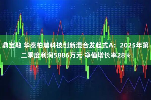 鼎宝融 华泰柏瑞科技创新混合发起式A:2025年第二季度利润5886万元 净值增长率28%