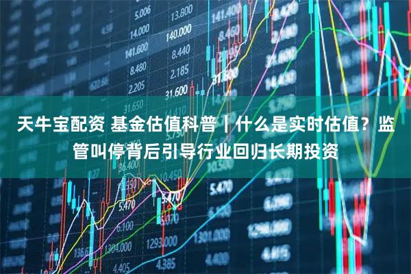 天牛宝配资 基金估值科普｜什么是实时估值？监管叫停背后引导行业回归长期投资
