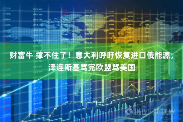 财富牛 撑不住了！意大利呼吁恢复进口俄能源，泽连斯基骂完欧盟骂美国