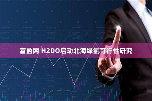 富盈网 H2DO启动北海绿氢可行性研究